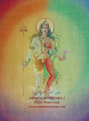 Ardhnarishwara : This image is protected by digital watermarking - Click here for our free wallpapers.