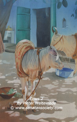 This image is protected by digital watermarking - Click here for our free wallpapers.
