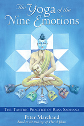 Click for a larger image of the cover of The Ayurvedic Massage Book by Harish Johari