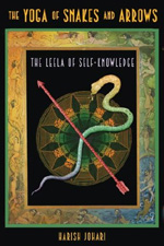 Click for a larger image of the cover of Leela, the game of Knowledge (and Karma)