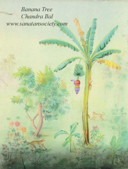 This image is protected by digital watermarking - Click here for our free wallpapers.