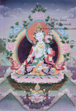 This image is protected by digital watermarking - Click here for our free wallpapers.