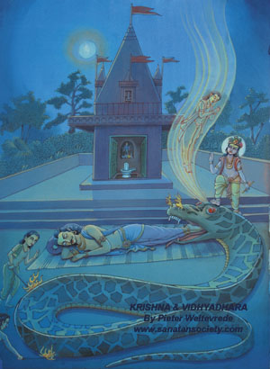 Liberation of Vidhyadhara by Krishna - This image is protected by digital watermarking - Click here for our free wallpapers.