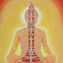 Chakras