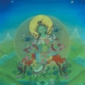 Tara